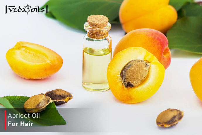 Apricot Oil For Hair Growth - Benefits & How To Use