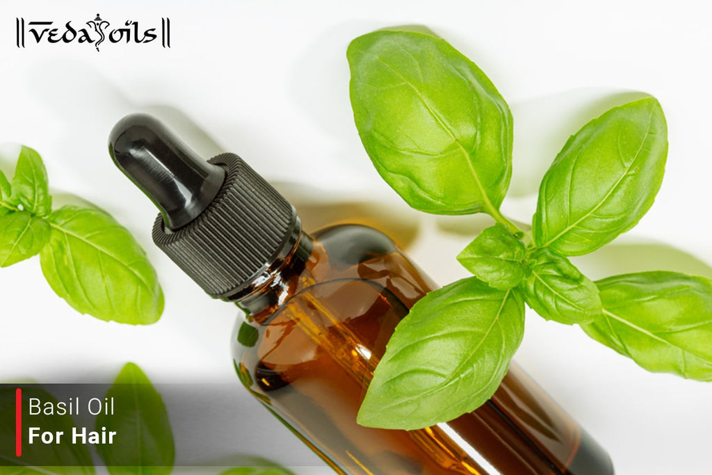 Basil Essential Oil For Hair Growth Benefits & How To Use VedaOils