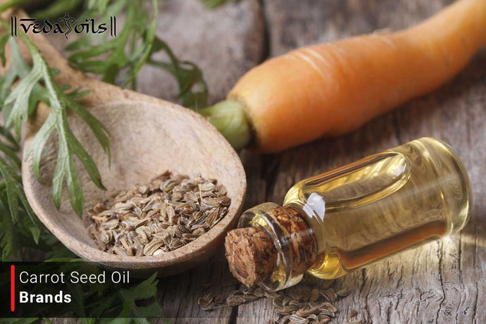Top 9 Carrot Seed Oil Brands In India - Carrot Oil Brands