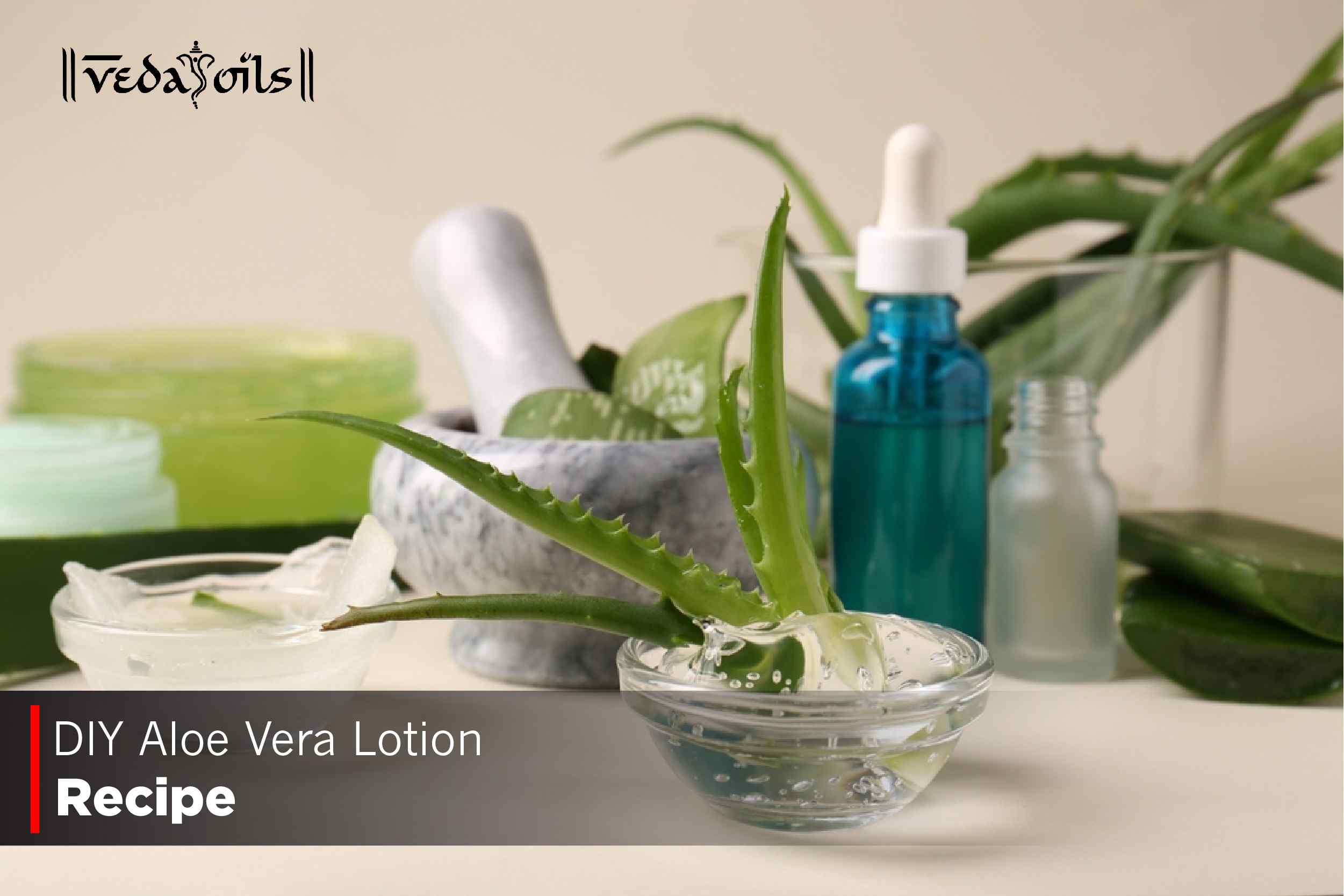 DIY Aloe Vera Lotion Recipe for Face | Make Homemade Aloe Vera Lotion   VedaOils