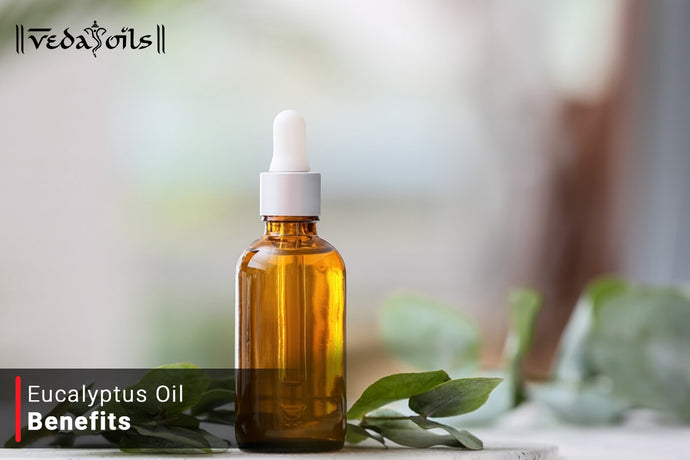 Incredible Benefits of Eucalyptus Oil for Skin & Hair Care