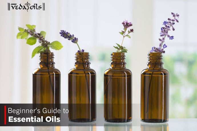 A Beginner's Guide to Essential Oils - How To Choose & Use?