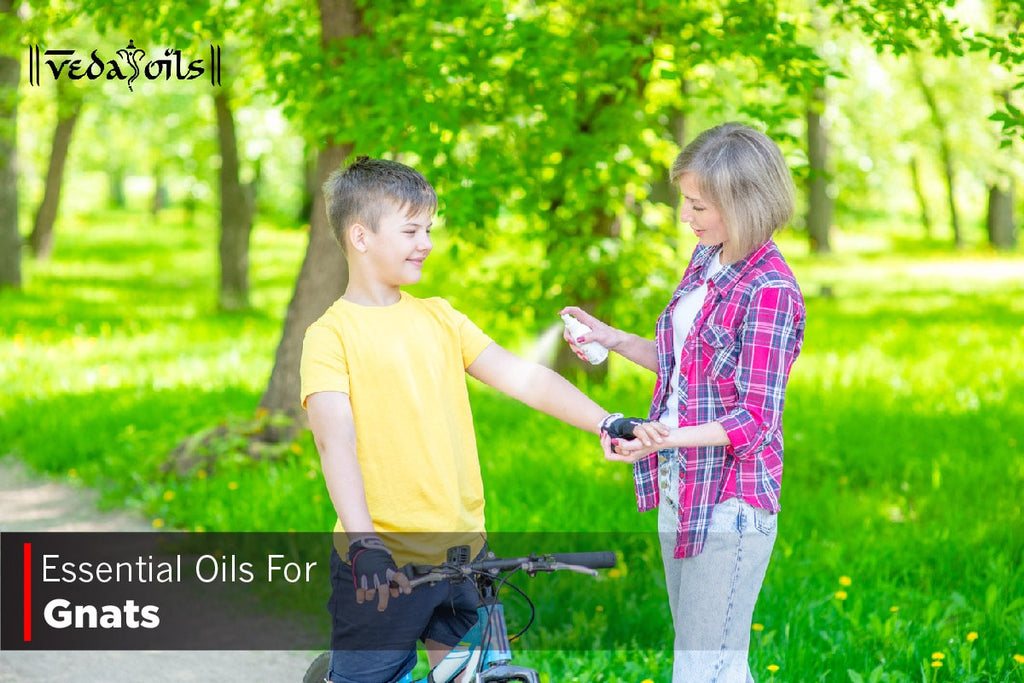 9 Best Essential Oils For Gnats To Keep Gnats Away VedaOils