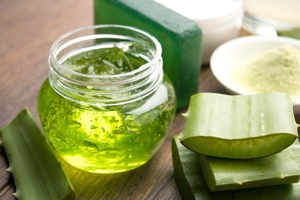 DIY Aloe Vera Scrub: Aloe Vera Scrub for Glowing Skin  VedaOils