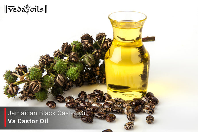 Jamaican Black Castor Oil Vs Castor Oil - Know Which You Need