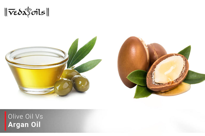 Olive Oil Vs Argan Oil: Which One Is Better?