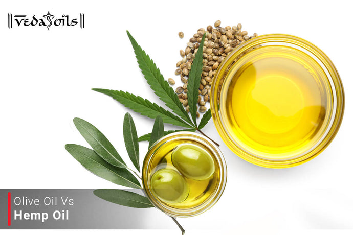 Difference Between Olive Oil And Hemp Seed Oil - Olive Oil Vs Hemp Oil