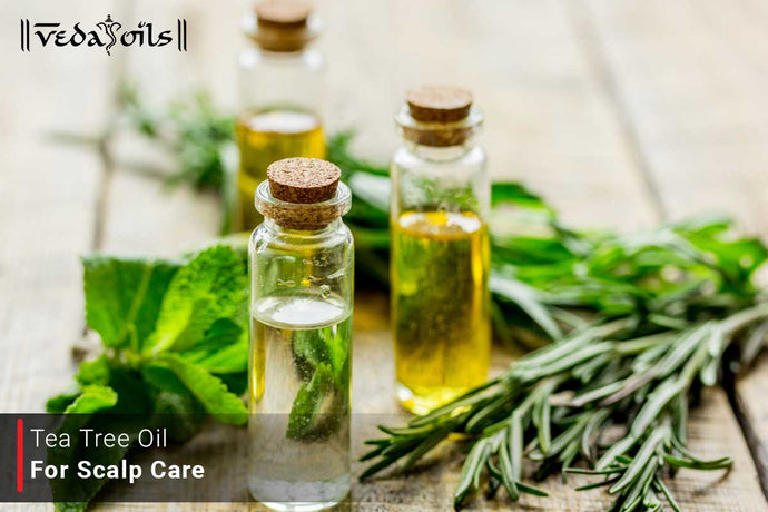 Tea Tree Oil For Scalp Care - Know How to Maintain Scalp Health