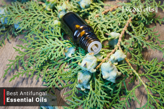 Antifungal Essential Oils | Strongest Anti Fungal Natural Oils