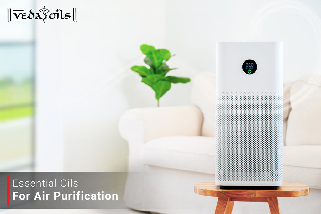 7 Best Essential Oils For Air Purification VedaOils
