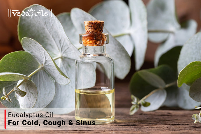 Eucalyptus Oil For Cold & Cough Problems - DIY Recipes