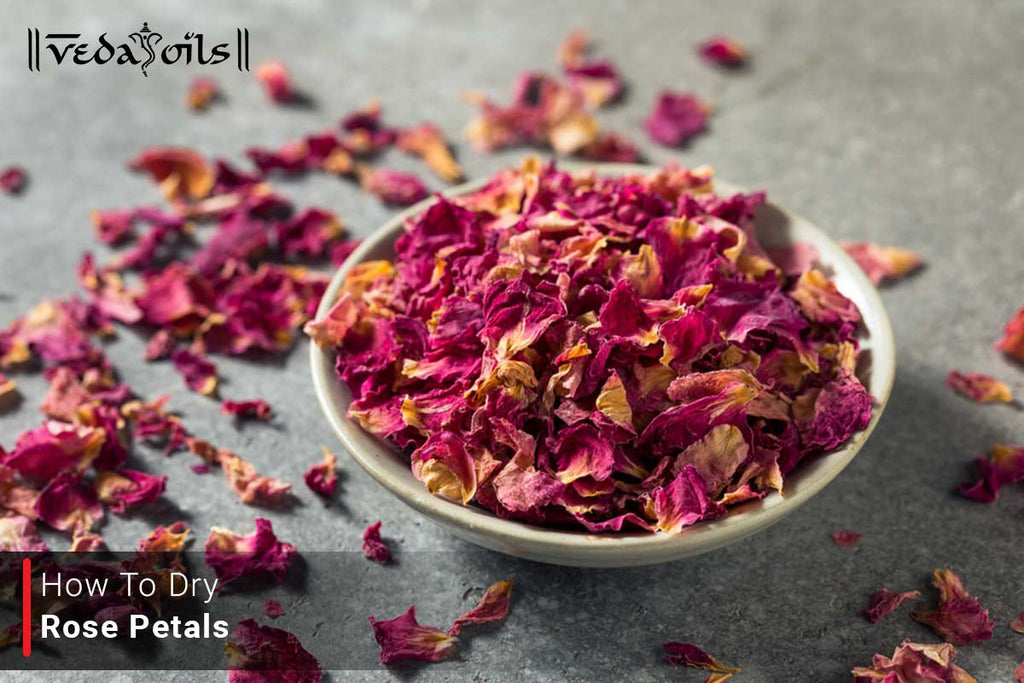 Try Out These Different Ways To Preserve Rose Petals At Home VedaOils