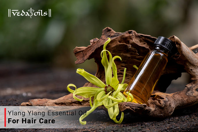 Ylang-Ylang Oil for Hair Care - Benefits & Uses