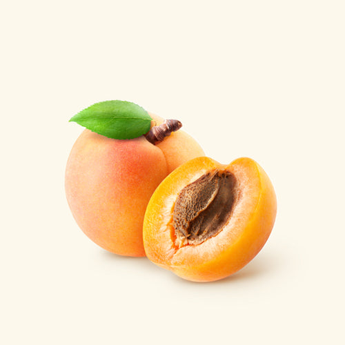 Apricot Seed Oil