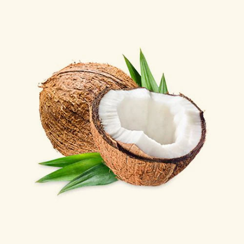 Coconut Flavor Oil