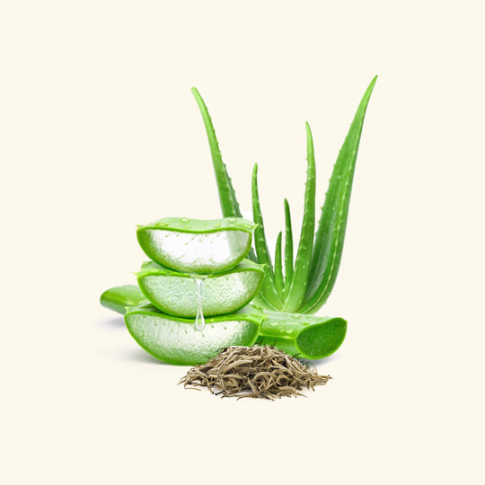 White Tea & Aloe Fragrance Oil