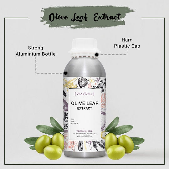 Olive Leaf Extract Liquid Buy Pure Olive Leaf Extract Online Manufacturer & Supplier VedaOils