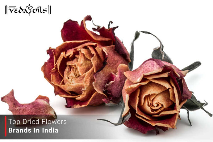 Top Dried Flower Brands in India - Best Preserved Flower Brands