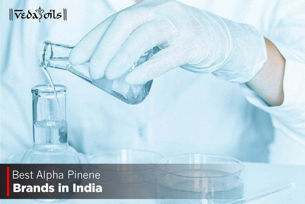 Top 5 Alpha Pinene Brands in India - Alpha Pinene Manufacturers – VedaOils