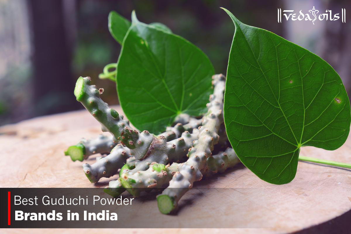 Top 5 Guduchi Powder Brands in India 2025
