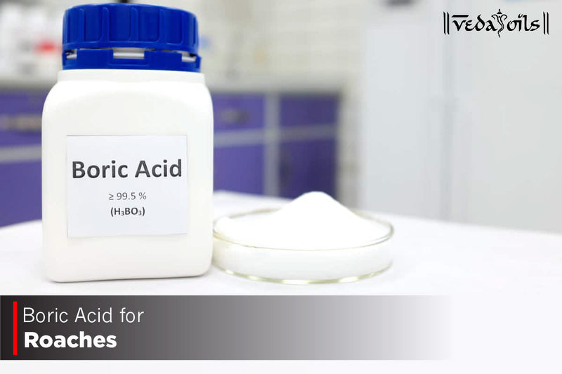 Boric Acid For Roaches -  Get Rid Of Cockroaches in your Home