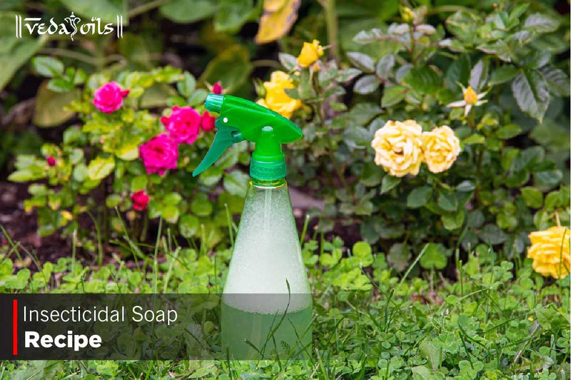 Homemade Insecticidal Soap - DIY Recipe For House Plants  VedaOils