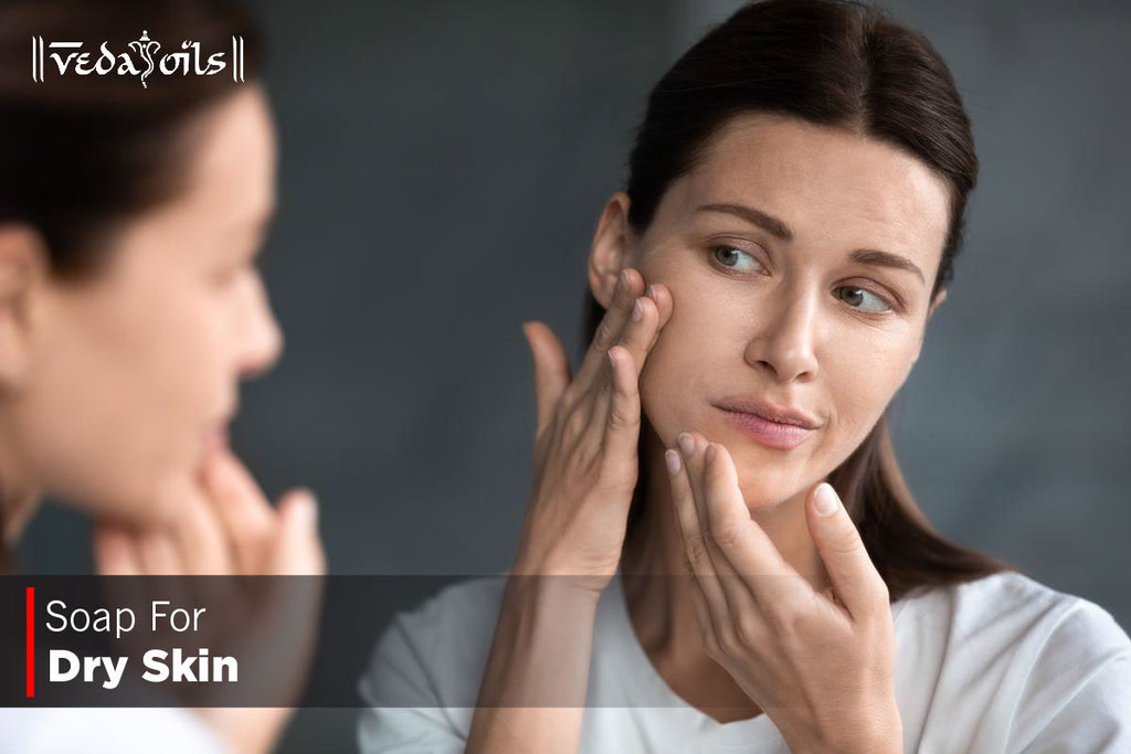 8 Best Soap Base For Dry Skin Natural Soap Base For Dry Skin VedaOils