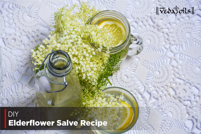DIY Elderflower Salve Recipe - Benefits And How to Make it