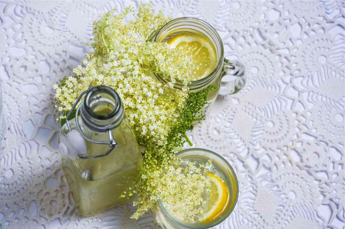 DIY Elderflower Salve Recipe - Benefits And How to Make it