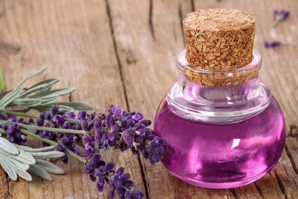 All About Lavender Oil
