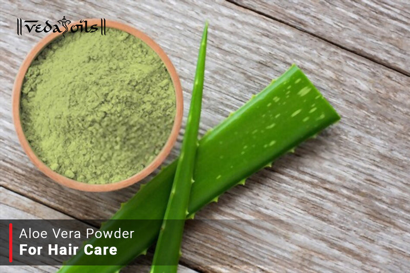 Aloe Vera Powder For Hair Care - Easy DIY Recipe
