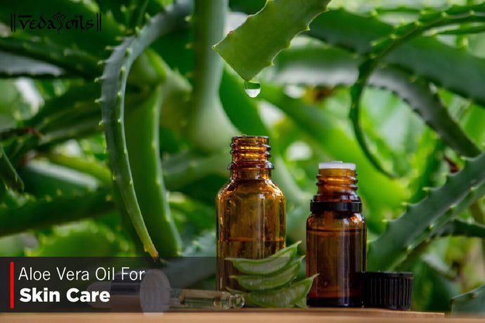Aloe Vera Oil For Skin Care - DIY Recipes & How To Use