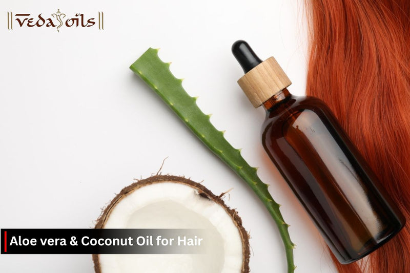 Aloe Vera and Coconut Oil for Hair