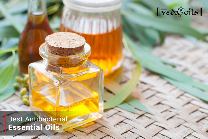 Top 10 Antibacterial Antimicrobial Essential Oils