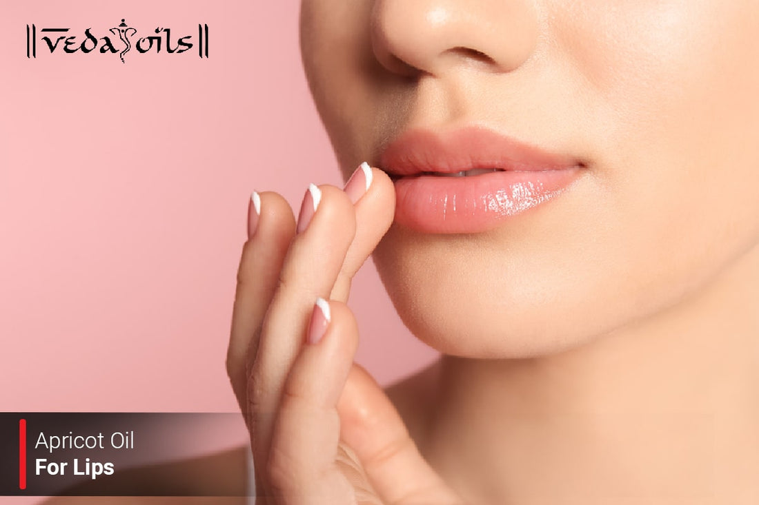 Apricot Oil For Lips