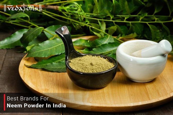 Best Neem Powder Brands In India | Neem Powder Brands