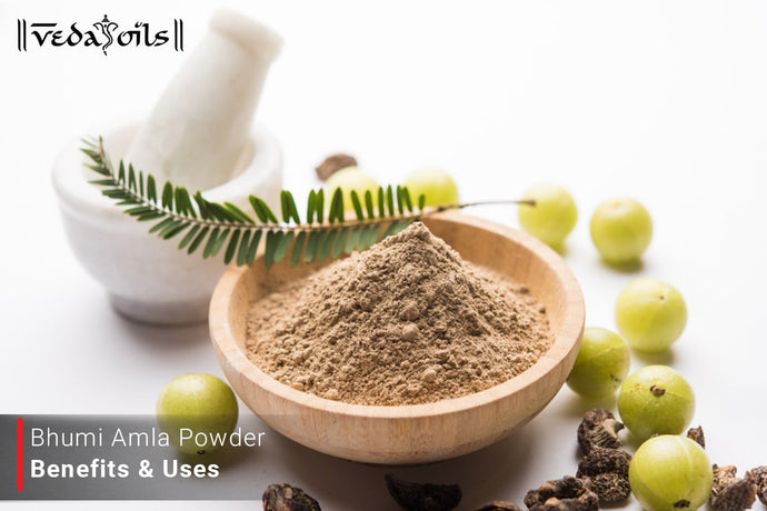 Bhumi Amla Powder Benefits And Uses - No One Will Tell You