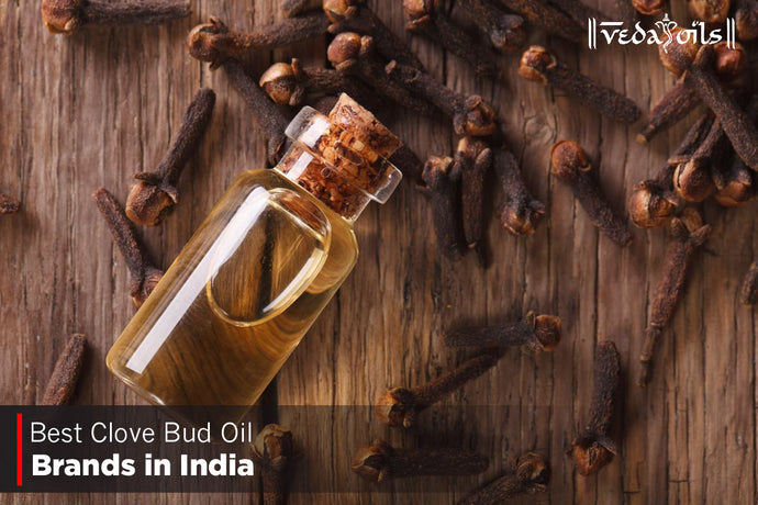 Clove Bud Oil Brands in India 2024