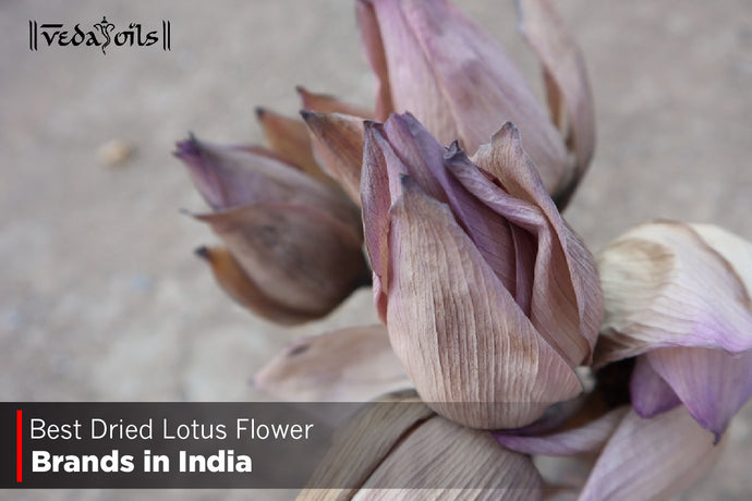 Dried Lotus Flower Brands in India 2024