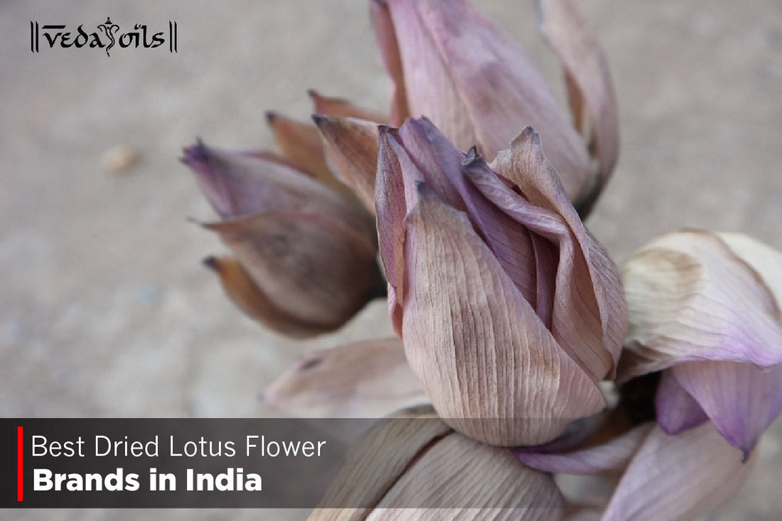 Best Dried Lotus Flower Brands in India