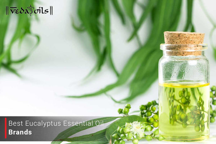 Eucalyptus Essential Oil Brands In India