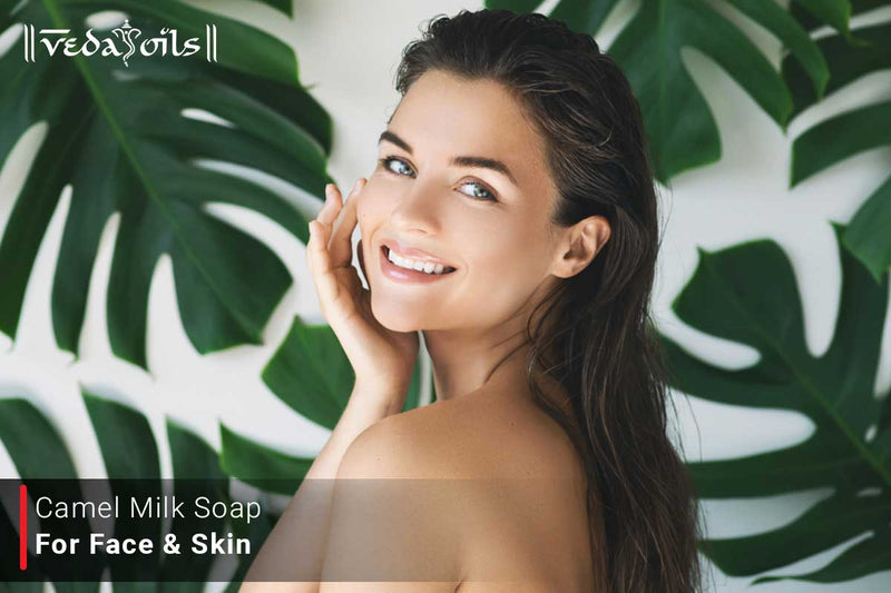 Camel Milk Soap For Face & Skin - How to Make Camel Milk Soap?