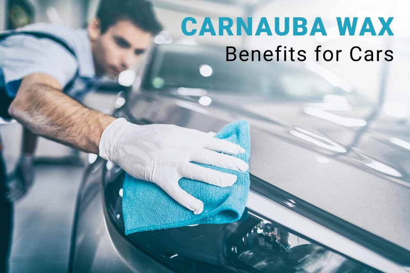 Carnauba Wax for Car and Its Benefits - How to Apply