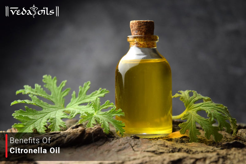 Citronella Essential Oil- A Citrus Remedy for Beauty & Wellness