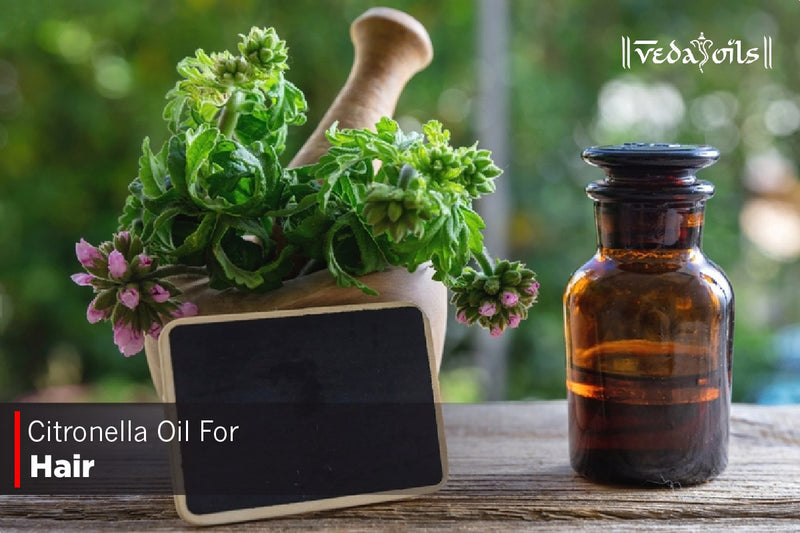 Citronella Essential Oil For Hair Growth - Benefits & How To Use