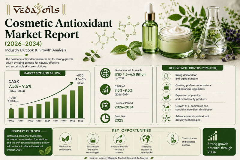 Cosmetic Antioxidant Market Report (2026-2034) – Industry Outlook & Growth Analysis