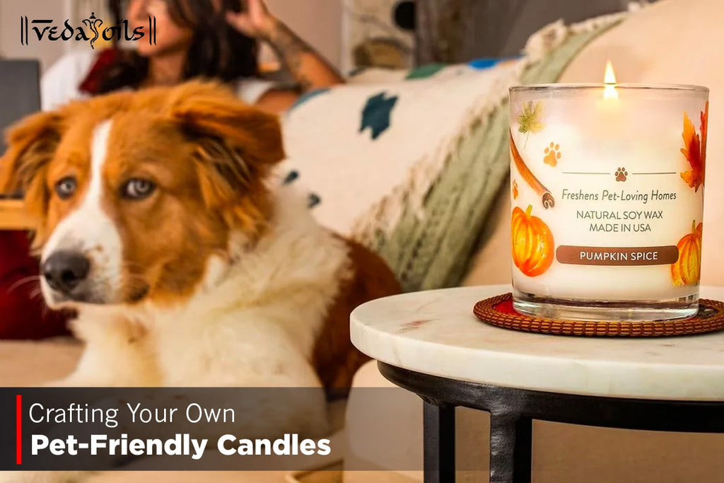 How To Make Pet Friendly Candles at Home VedaOils