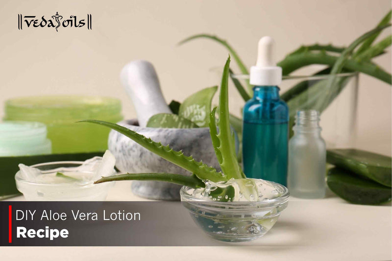 DIY Aloe Vera Lotion Recipe for Face | Make Homemade Aloe Vera Lotion   VedaOils