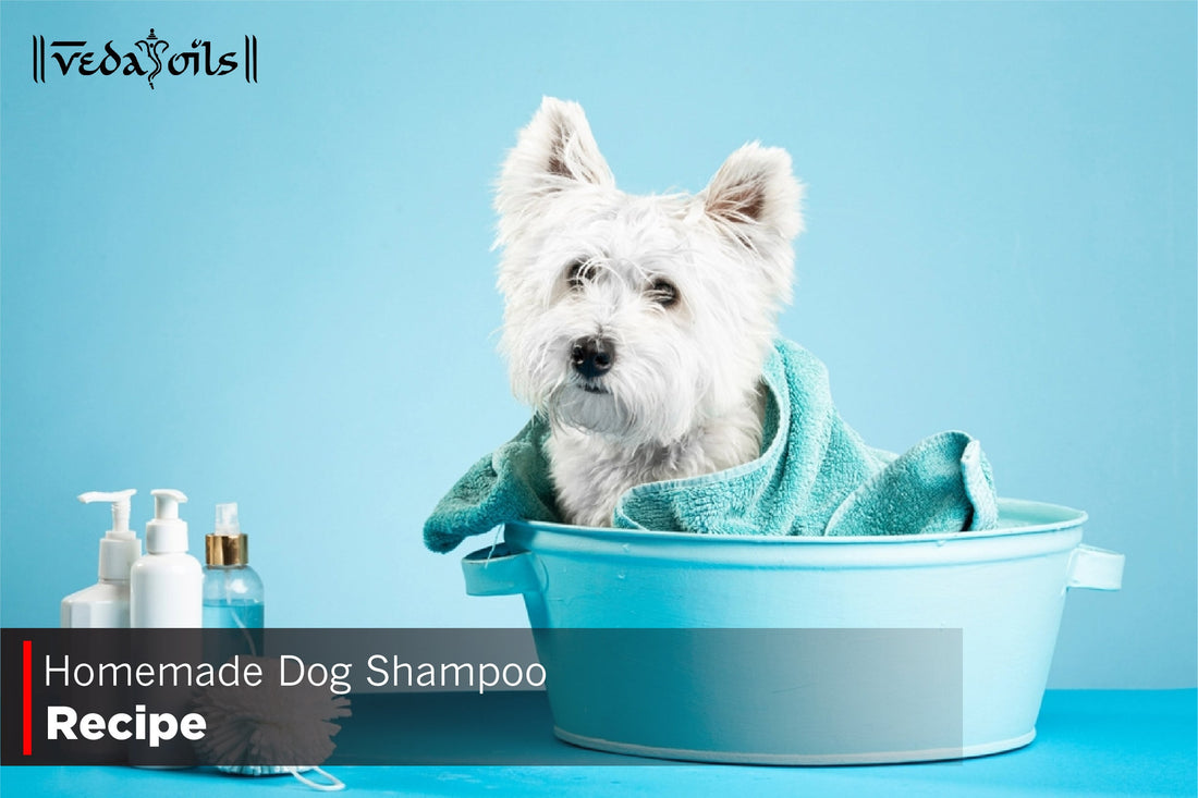 DIY Dog Shampoo: 3 Easy Recipes for Sensitive & Itchy Skin
