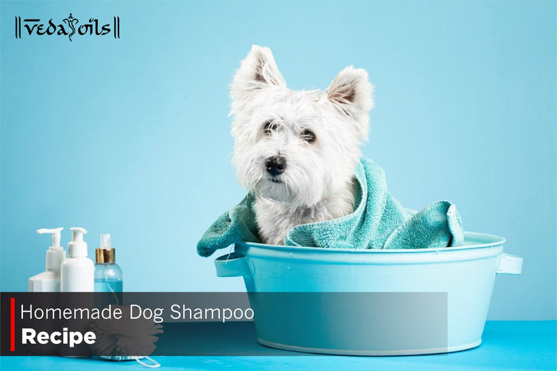 DIY Dog Shampoo: 3 Easy Recipes for Sensitive & Itchy Skin
